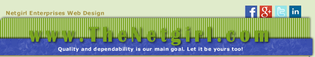 Netgirl Enterprises Web Design & Hosting